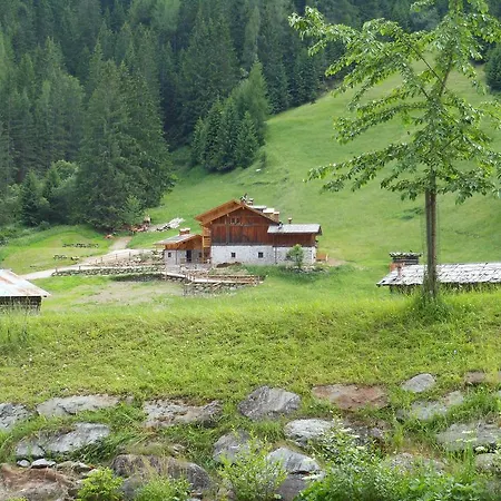 Lantställe Maso Coler *